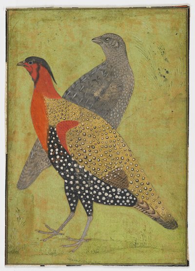 Two Pheasants by Mughal School